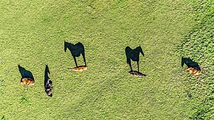 CAVALLO Das juckt uns nicht mehr CAVALLO Das juckt uns nicht mehr