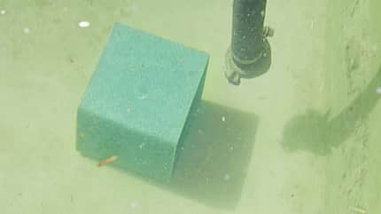 CAVALLO Wasserfilter mit Aktivkohlefilter, SuperCube CAVALLO Wasserfilter mit Aktivkohlefilter, SuperCube