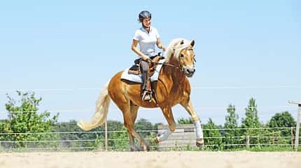 CAVALLO Wie Sie Ihre Mitte im Sattel finden und in allen Lagen im Lot bleiben CAVALLO Wie Sie Ihre Mitte im Sattel finden und in allen Lagen im Lot bleiben