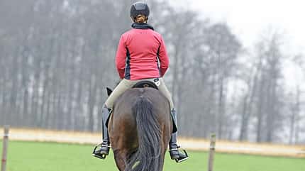 CAVALLO Wie Sie Ihre Mitte im Sattel finden und in allen Lagen im Lot bleiben CAVALLO Wie Sie Ihre Mitte im Sattel finden und in allen Lagen im Lot bleiben