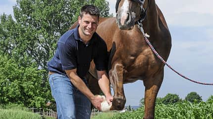CAVALLO Versicherungs-Service für Pferdehalter, Mann hebt vorderen Huf CAVALLO Versicherungs-Service für Pferdehalter, Mann hebt vorderen Huf