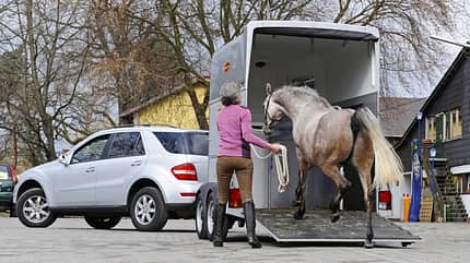 CAVALLO Versicherungs-Service für Pferdehalter, Pferd verladen CAVALLO Versicherungs-Service für Pferdehalter, Pferd verladen