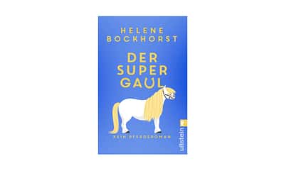 Der Supergaul, Buchcover, Ullstein Verlag, Helene Bockhorst, Pferdegeschichten, Pferderoman Buchcover "Der Supergaul" von Helene Bockhorst