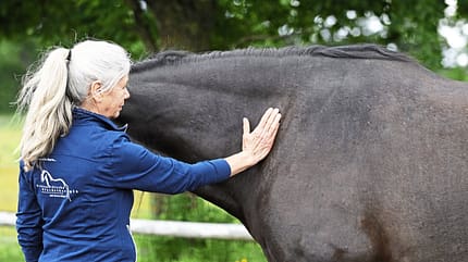 CAVALLO Vielseitig, Geländetraining, Frau steht vor Pferd am Muskel vor dem Schulterblatt CAVALLO Vielseitig, Geländetraining, Frau steht vor Pferd am Muskel vor dem Schulterblatt