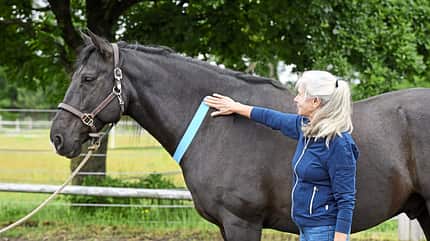 CAVALLO Vielseitig, Geländetraining, Frau steht seitlich am Pferd am Muskel vor dem Schulterblatt mit Kinesio-Tape CAVALLO Vielseitig, Geländetraining, Frau steht seitlich am Pferd am Muskel vor dem Schulterblatt mit Kinesio-Tape
