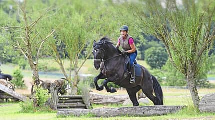CAVALLO Vielseitig, Geländetraining, Galoppsprung, Pferd springt im Gelände-Parcours über querliegenden Baumstamm CAVALLO Vielseitig, Geländetraining, Galoppsprung, Pferd springt im Gelände-Parcours über querliegenden Baumstamm