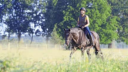 CAVALLO Vielseitig, Geländetraining, Frau reitet durchs Gelände CAVALLO Vielseitig, Geländetraining, Frau reitet durchs Gelände