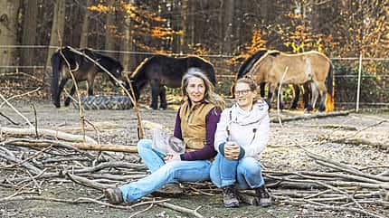 CAVALLO Eine Frage - drei Experten, Reiten nach Hufbearbeitung, Christina Künen und Barbara Kelly CAVALLO Eine Frage - drei Experten, Reiten nach Hufbearbeitung, Christina Künen und Barbara Kelly