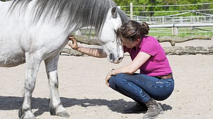 CAVALLO Ponypower, Frau kniet vor Welsh-A Pony und kuschelt CAVALLO Ponypower, Frau kniet vor Welsh-A Pony und kuschelt