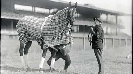 CAVALLO Pferdedecken-Spezial, schwarz-weiß Foto Pferd mit karierter Decke, Salunen, wollene Decken, Regendecken aus
Segeltuch CAVALLO Pferdedecken-Spezial, schwarz-weiß Foto Pferd mit karierter Decke, Salunen, wollene Decken, Regendecken aus
Segeltuch