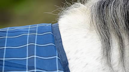 CAVALLO Pferdedecken-Spezial, blaukarierte Decke CAVALLO Pferdedecken-Spezial, blaukarierte Decke