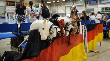 Hobby Horse, Hobby Horsing, Steckenpferde, Hobby Horsing Meisterschaften, Hobby Horsing Turnier Unterschiedliche Hobby Horses auf einer Meisterschaft hinter einer Deutschen Flagge aufgereiht