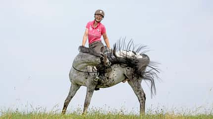 CAVALLO Horse Tensegrity Training, Biotensegrität, geschecktes Pferd mit Reiter auf Wiese, Pferd schwenkt Kopf Richtung Bein vom Reiter, Reiterin lacht