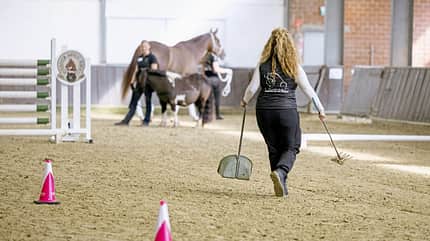CAVALLO hautnah: Claudia Münch, Pionierin der FN-Bodenarbeitsausbildung, von hinten mit Schaufel und Rechen auf Reitplatz