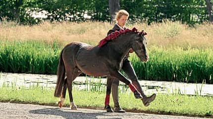CAVALLO Spiel mit Energie-Kicks und Gelassenheit, Spanischer Schritt CAVALLO Spiel mit Energie-Kicks und Gelassenheit, Spanischer Schritt