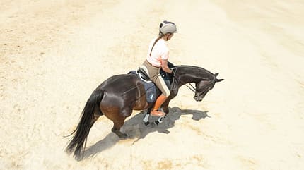 CAVALLO Kreativ kringeln, die Volte, Reiterin reitet auf Sandplatz Volte CAVALLO Kreativ kringeln, die Volte, Reiterin reitet auf Sandplatz Volte