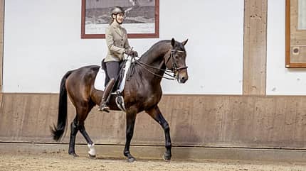 CAVALLO Gutes Reiten - So soll es aussehen, Vera Munderloh reitet auf braunem Pferd durch Reithalle CAVALLO Gutes Reiten - So soll es aussehen, Vera Munderloh reitet auf braunem Pferd durch Reithalle