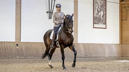 CAVALLO Gutes Reiten - So soll es aussehen, Vera Munderloh reitet auf braunem Pferd durch Reithalle CAVALLO Gutes Reiten - So soll es aussehen, Vera Munderloh reitet auf braunem Pferd durch Reithalle
