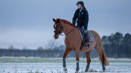 Damiana Spöckinger, Social Media, Reiten im Winter, Schneemotiv, Influencer Damiana Spöckinger mit Diamiro im Schnee