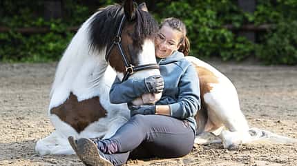 Michelle Menger, blindes Pony, blindes Pferd, Pony Joschi, Pferdeliebe, Liebe zwischen Pferd und Mensch Michelle Menger sitzt mit ihrem Pony Joschi im Sand zum Kuscheln