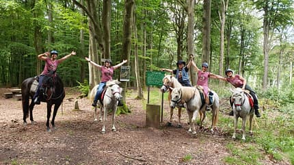 Hunsrück zu Pferd e. V., Wanderreiten Eine Gruppe Wanderreiter im Wald