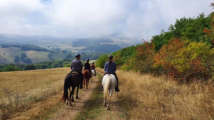 Hunsrück zu Pferd e. V., Wanderreiten Eine Gruppe Wanderreiter von hinten vor einem idyllischen Landschafts-Panorama