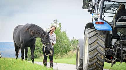 Anti-Stress-Training, Traktor, Vivian Gabor, Straßen-Training, Spaziergang Vivian Gabor geht mit ihrem Pferd an einem fahrenden Traktor vorbei.