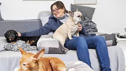 Kathrin Brunner-Schwer, Dressurausbilderin, Nuno Oliveira, KBS Riding Kathrin Brunner-Schwer mit ihren drei Hunden im Wohnzimmer