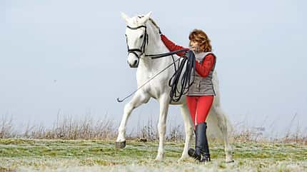 Spanischer Schritt, Langzügel, Handarbeit, Lektionen am Boden, klassische Dressur, freie Vorhand Eine Frau führt mit ihrem Schimmel den Spanischen Schritt am Langzügel vor.