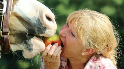 Gesunde Snacks für Reiter, Pferdefütterung, Apfel, Leckerli, Ernährung Reiter Eine blonde Frau teilt sich einen Apfel mit ihrem Pferd: beide beißen gleichzeitig von dem Apfel in ihrer Hand ab.