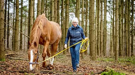 Rachaël Draaisma, Duftgarten für Pferde, Schnupperkurs, Fährtensuche mit Pferden, Verhaltens-Expertin für Pferde Rachaël Draaisma mit ihrem Pferd auf Fährtensuche im Wald