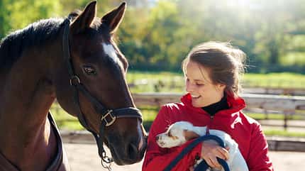 Pferd und Hund, Welpe, Hund am Stall, Tierfreunde, Pferd und Welpe Eine Frau hält einen Welpen auf dem Arm, während ihr braunes Pferd daneben neugierig mit der Nase Kontakt zu dem anderen Tier aufnimmt.