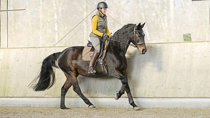 Daniela Wais, Pferdeausbildung, Über den Rücken, Rumpfmuskulatur, Oberlinie, Bergauf-Galopp Daniela Wais mit Stute Dacota in einem schönen Bergauf-Galopp der Bahn.