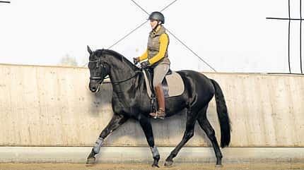 Daniela Wais, Pferdeausbildung, Über den Rücken, Rumpfmuskulatur, Oberlinie, Anlehnung, korrektes Reiten Rappstute Happy trabt unter Daniela Wais in federleichter Anlehnung in der Bahn.