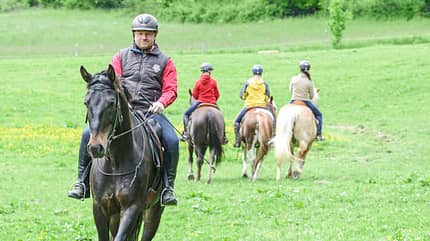 CAV Ausreiten Ausritt Gelände Gruppe CAV Ausreiten Ausritt Gelände Gruppe