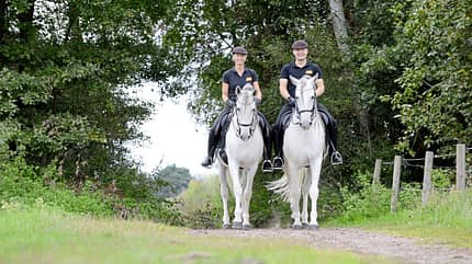Typisch Mann, typisch Frau, Umgang Pferd, Pferd führen, Schimmel, Pärchen, Rebekka Pertenbreiter, Bartelheimer Gerlinde und Ronny Bartelheimer reiten mit ihren Schimmeln im Gelände nebeneinander her