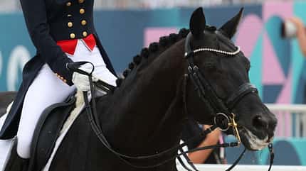 Charlotte Fry, Olympische Spiele Paris 2024, Dressur, Dressurreiten, Schaum am Maul, Pferdemaul, Kandare, FEI, Turnier Ein Pferd zu den Olympischen Spielen in Paris 2024