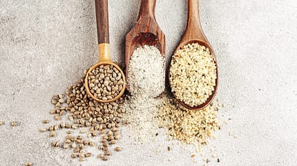 Hanfsamen, Hanf für Pferde, Pferdefütterung, Mineralstoffe, natürliche Ernährung Ganze Hanfsamen, geschrotete Hanfsamen und geschälte Hanfsamen in Holzlöffeln nebeneinander liegend