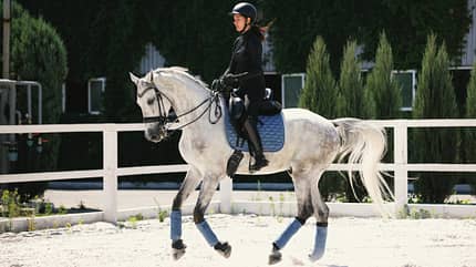 Reitplatz, Galopp reiten, Übergänge reiten, Dressur, Dressur-Training, Kandare, Schimmel Eine junge Frau mit ihrem Schimmel im Galopp beim Dressur-Training auf dem Reitplatz