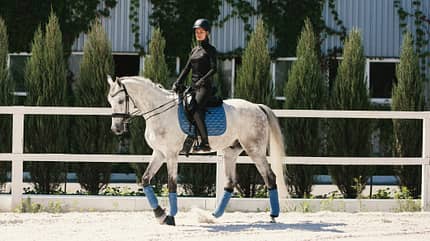 Dressur, Kandare, Übergänge reiten, Hilfen, Schritt reiten, Dressur-Training, Schimmel Eine Frau mit ihrem Schimmel beim Dressur-Training auf dem Sandplatz