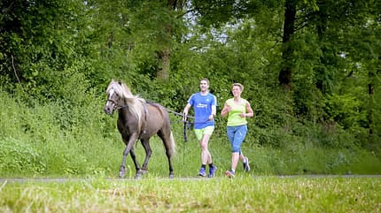 Marathonpony, Laufen mit Pferd, Stefan Gerber, Joggen mit Pony, Fahrleinen, Pferd einfahren Stefan Gerber und Barbara beim Lauf-Training im Wald mit Ponydame Ciel an den Fahrleinen
