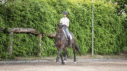 Hannah Laser mit einem braunen Pferd im Schulterherein an der langen Seite auf dem Reitplatz.