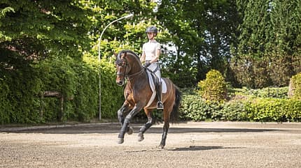 Hannah Laser beim Training mit einem braunen Pferd auf dem Außenplatz. 