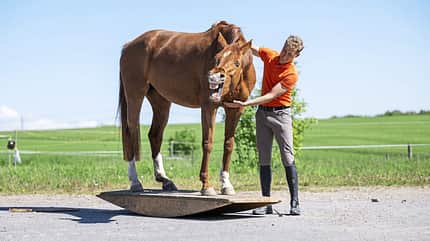 Josef Kmoch, Jungpferdeausbildung, Springpferd, pferdegerechtes Reiten, Fair zum Pferd, Stangenarbeit, Cavaletti, Springen, Gymnastik Josef Kmoch mit seinem Fuchs auf der Wippe