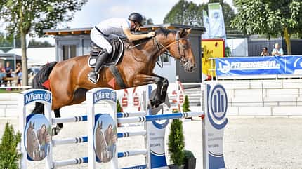 Josef Kmoch, Springpferd, Jungpferdeausbildung, Springturnier, Pferdegerechtes Reiten, Schenkeltrense, ohne Nasenriemen Josef Kmoch mit Stute Jasmina im Spring-Parcours zum Turnier