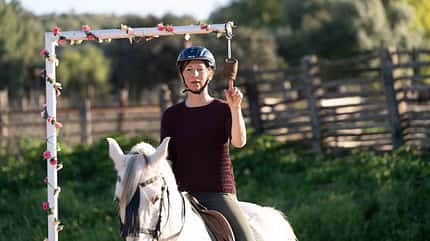 Working Equitation