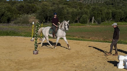 Working Equitation