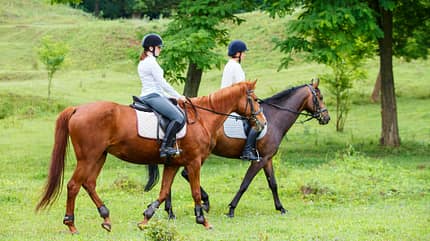 Zwei junge Frauen reiten mit ihren Pferden im Grünen aus.