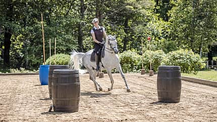 Eine Reiterin mit einem Marbacher Hengst beim Training der Working Equitation.