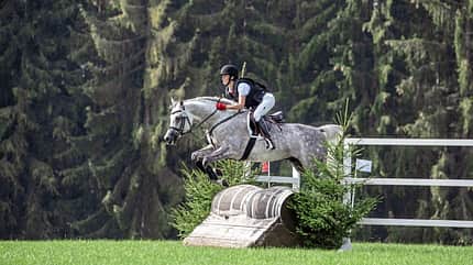 Eine Reiterin mit einem Marbacher Schimmel-Hengst über dem Sprung im Gelände-Parcours.